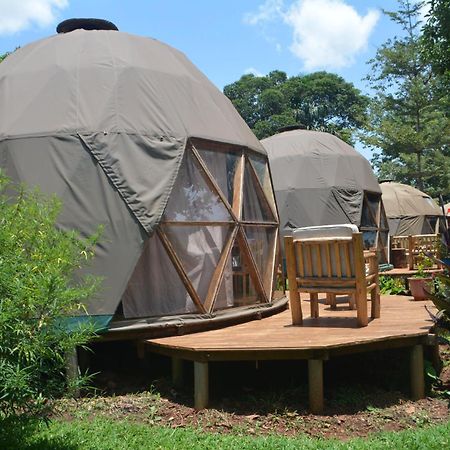 Hostel Jinja Backpackers Exteriér fotografie