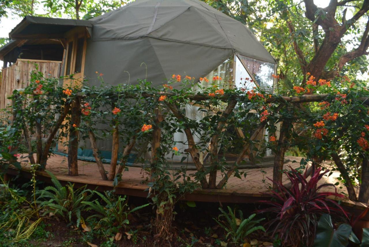 Hostel Jinja Backpackers Exteriér fotografie